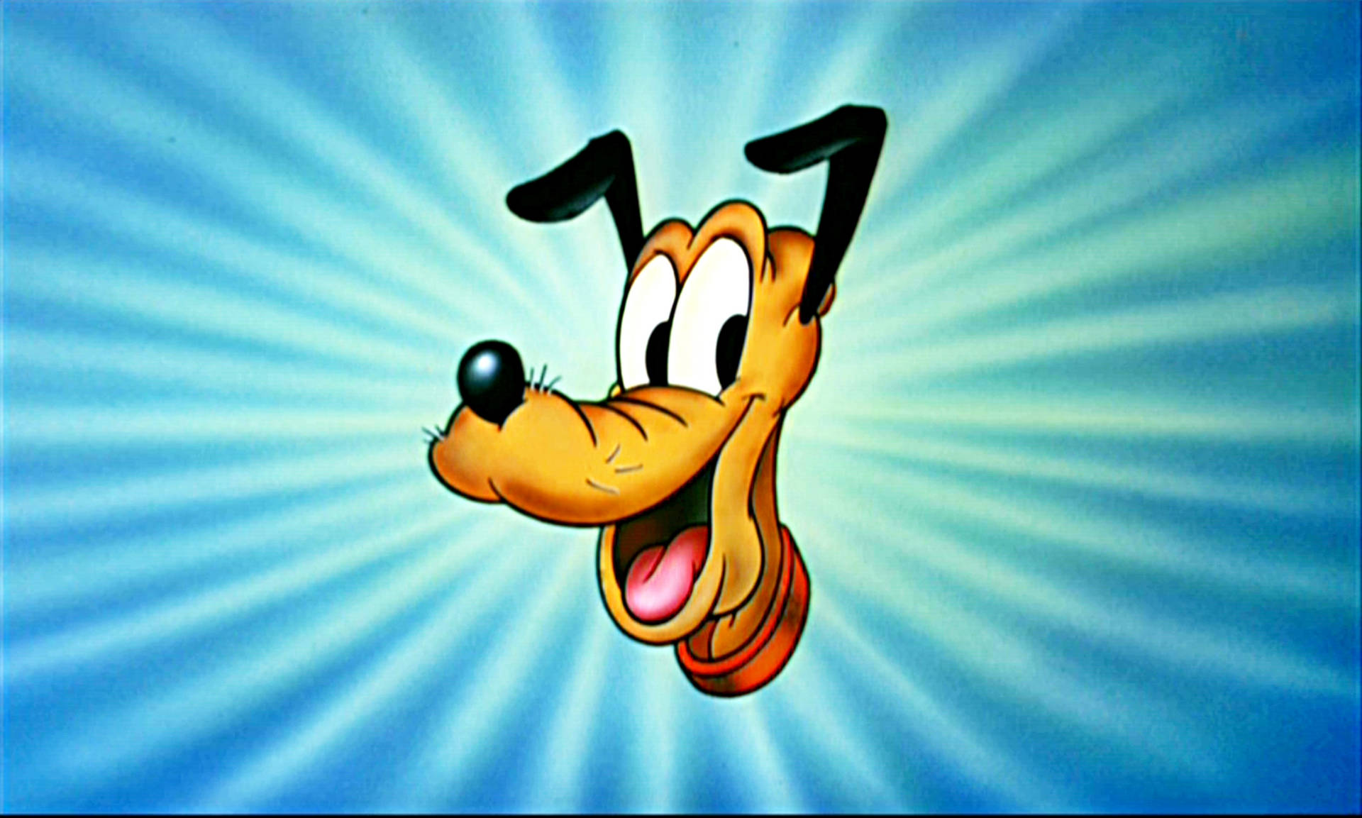 Nærbilde Av Disney's Pluto Med En Leken Sjarm. Bakgrunnsbildet