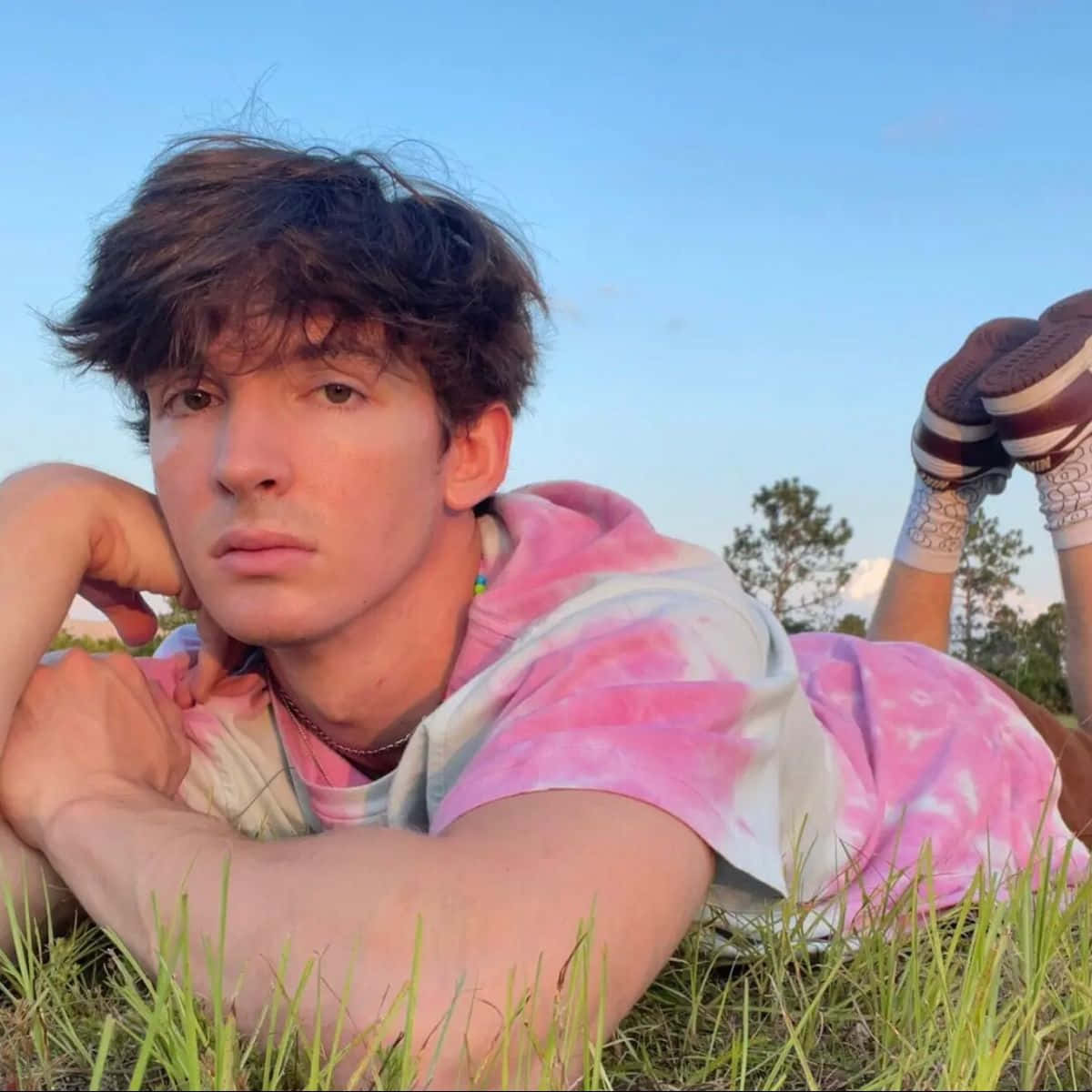 Flamingo Albert Puistossa Taustakuva