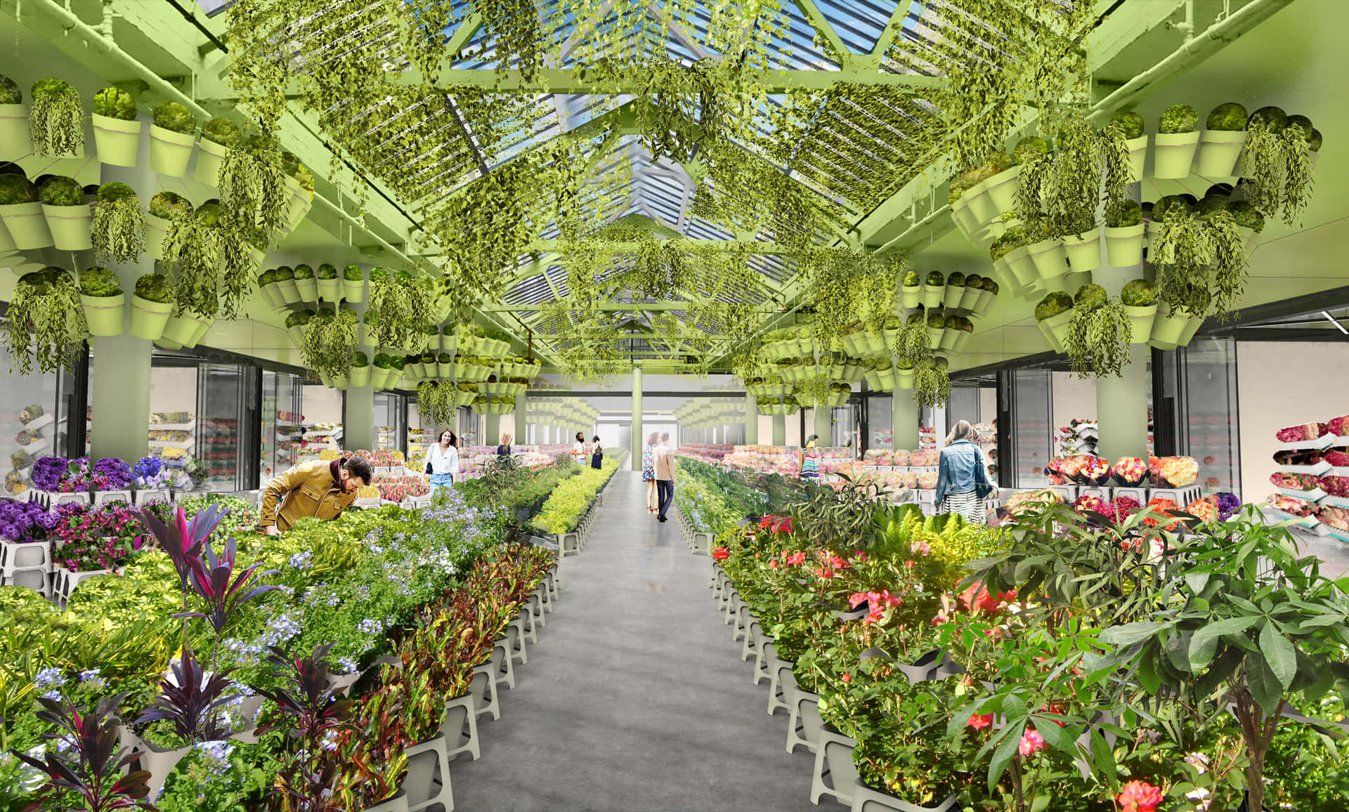 Värikkäät Kukkatiskit Markkinoilla Taustakuva