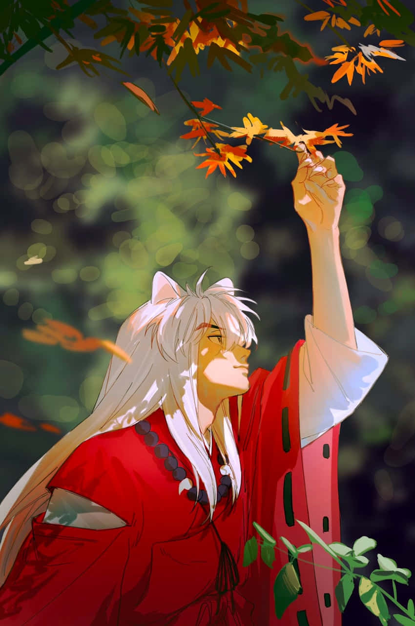 Wallpaperinuyasha Plockar Löv Mobilbakgrund Wallpaper