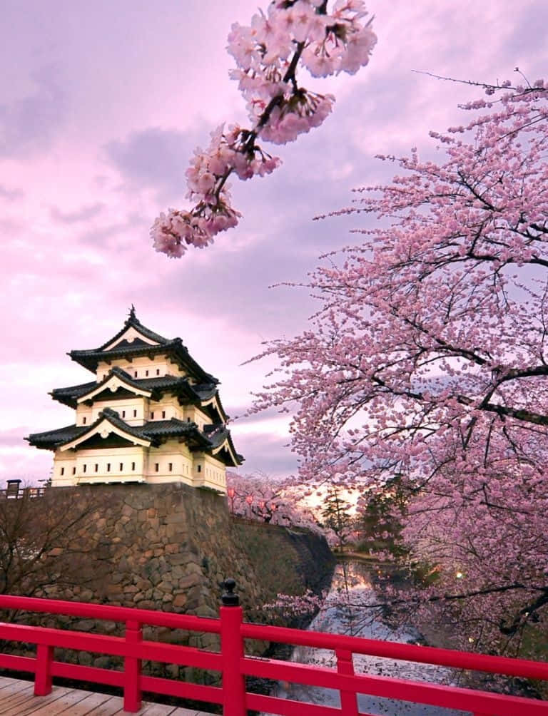 Telefonogiapponese Con Il Castello Di Hirosaki Sotto Un Cielo Viola. Sfondo