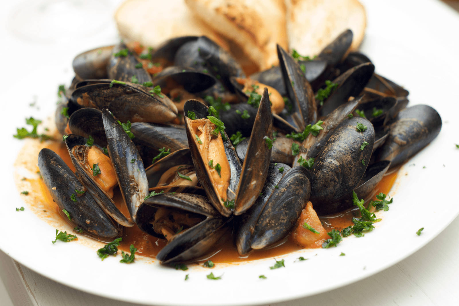 Zuppadi Cozze E Vongole, Piatto Di Frutti Di Mare Sfondo