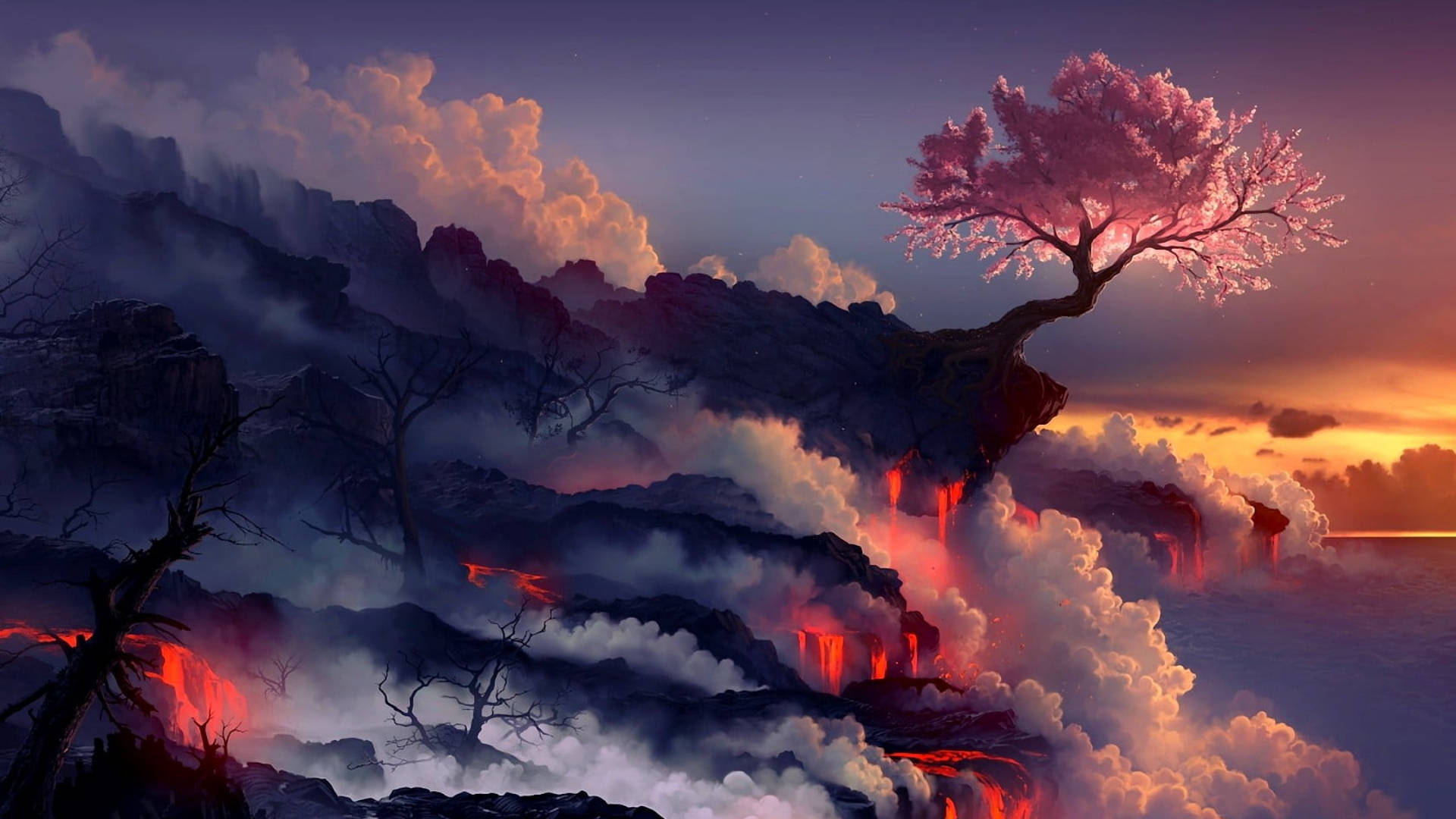 Sakura Bloem Pc Achtergrond