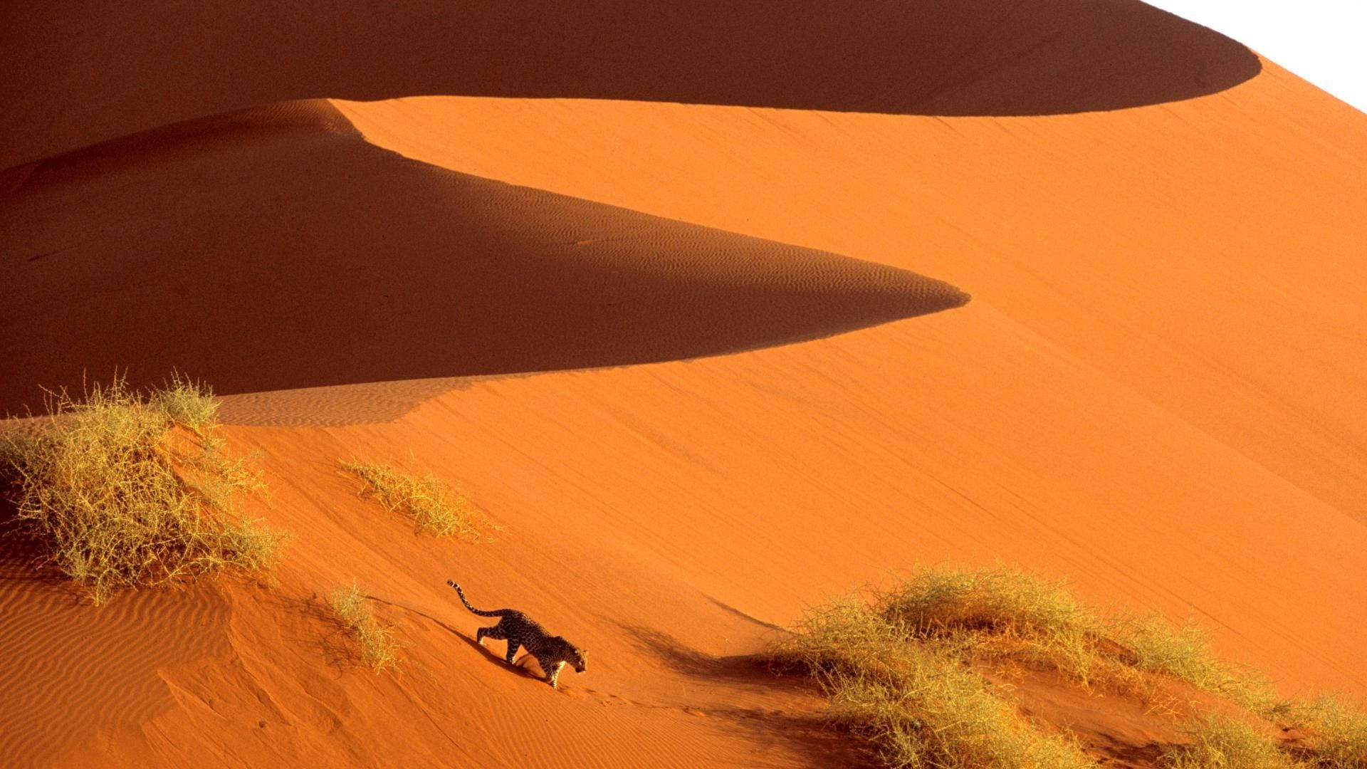 Sossusvlei Namibia Sfondo