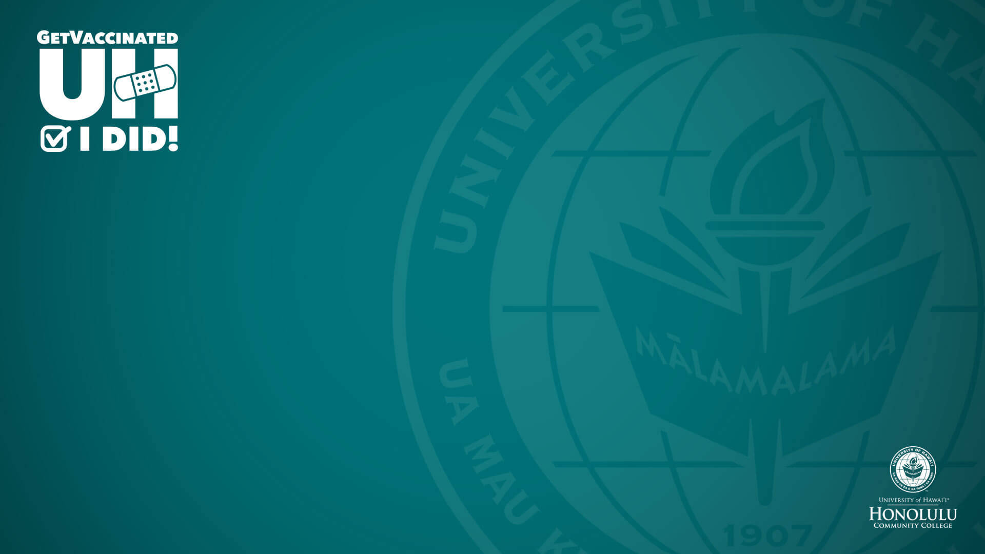 Universiteit Van Hawaii Donkergroen Achtergrond