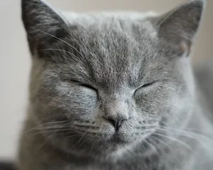 Matahari Terbit Indah Dikelilingi Oleh Vegetasi Hijau Subur Wallpaper