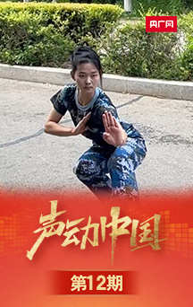 �����й���վ���ɡ������ӡ������磡