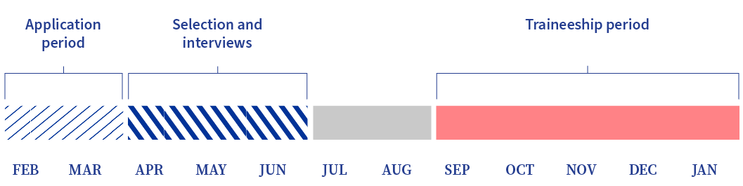 This horizontal month-by-month timeline displays the application period (February-March), the selection and interviews stages (April-June), and the traineeship (September-January), each represented by coloured bars.
