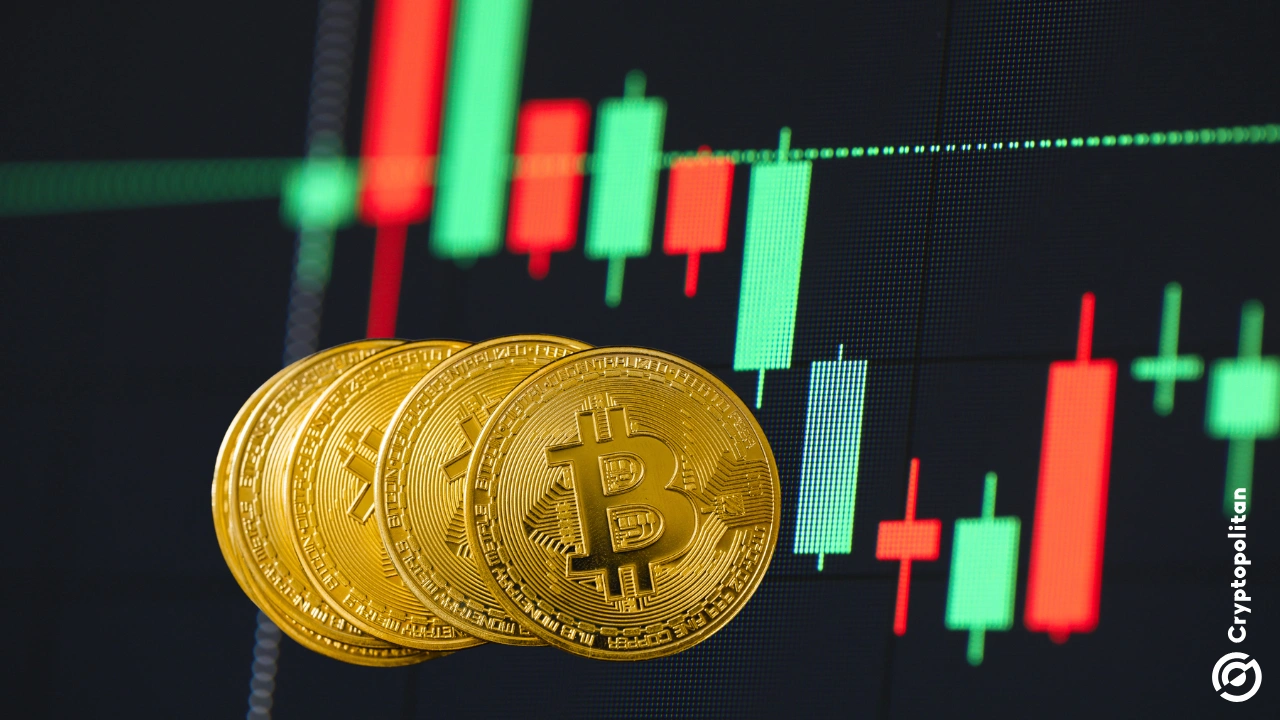 Kleinstkapital-Währungen erreichen Tiefststände, während Bitcoin unter 94.000 US-Dollar fällt