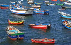 Traditional small wooden fishing boats from the fishermen of Trafaria village anchored on the Tagus River estuary. Trafaria, Almada, Portugal