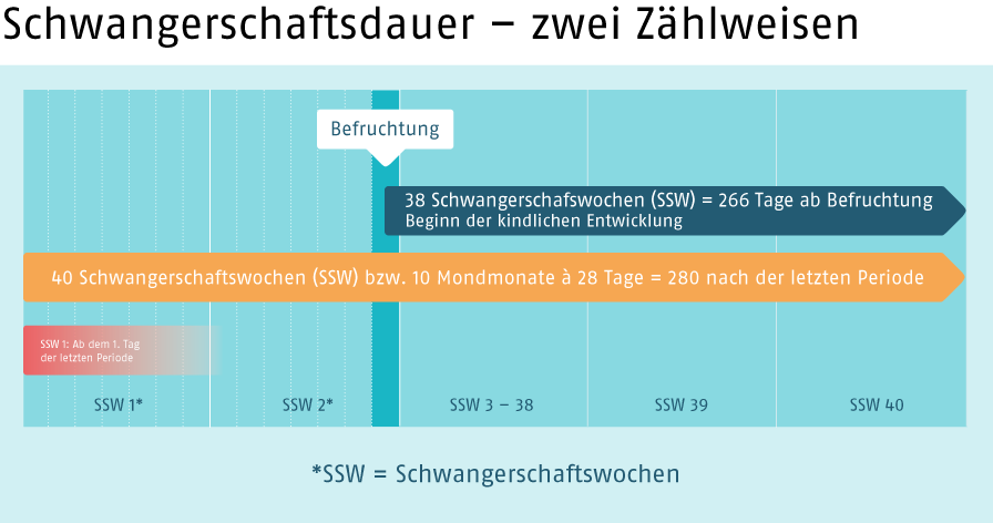 Schwangerschaftsdauer (Quelle: BIÖG) Infografik, die die beiden Zählweisen der Schwangerschaftsdauer zeigt
