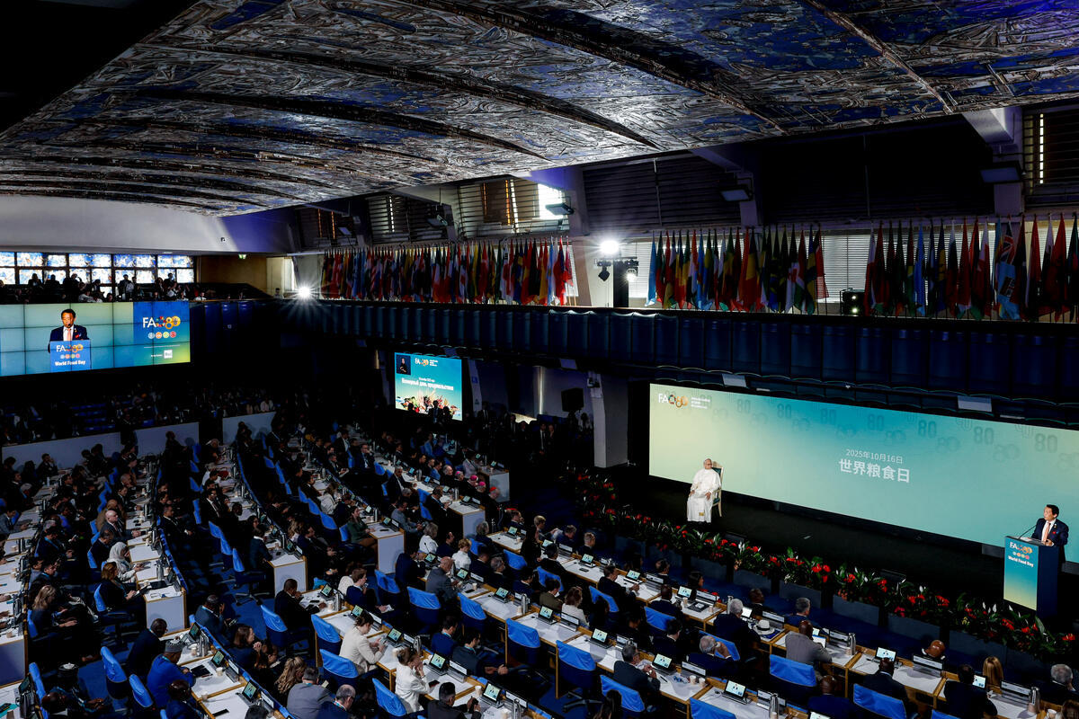 ©FAO/Giuseppe Carotenuto