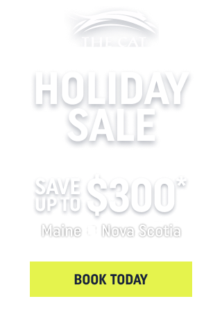 The CAT Holiday Sale—Save up to $300*