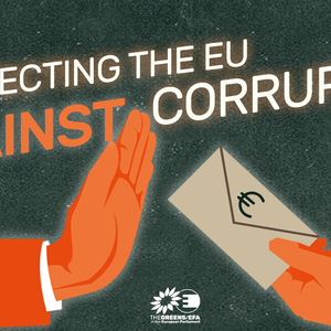protecting the eu against corruption visual