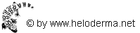 heloderma.net