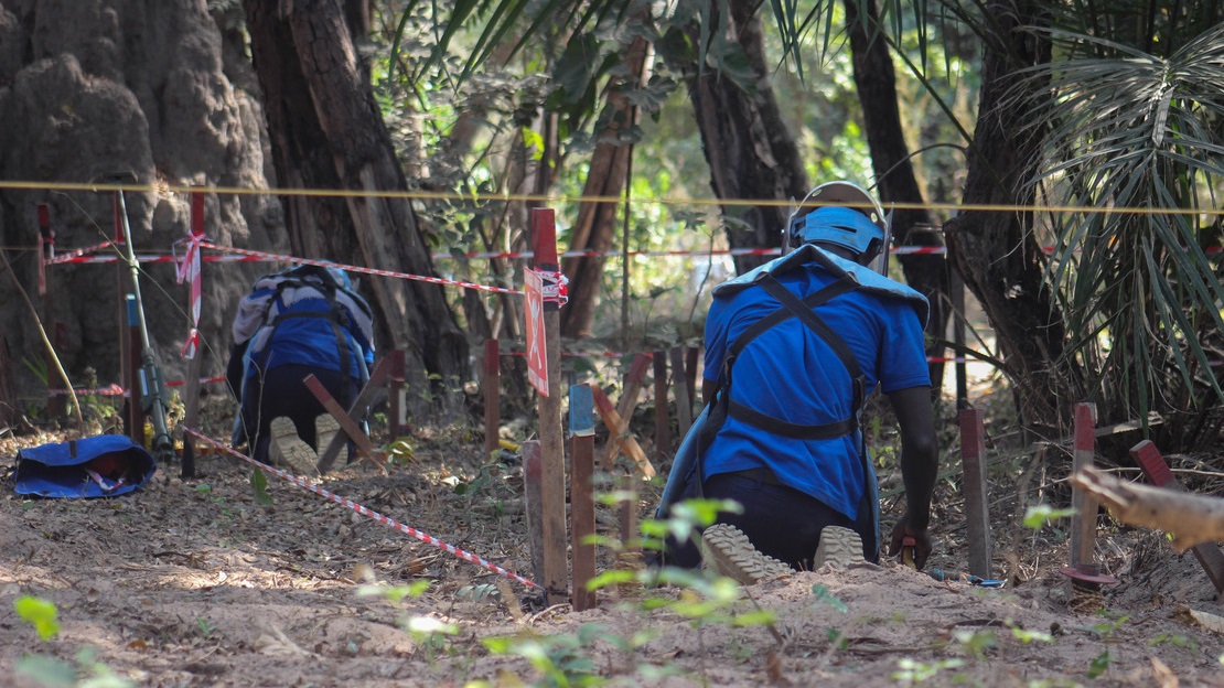 Two deminers are seen from behind, kneeling on the ground in the shade, in a corridor marked out by red stakes. Around them, the earth and vegetation are visible.