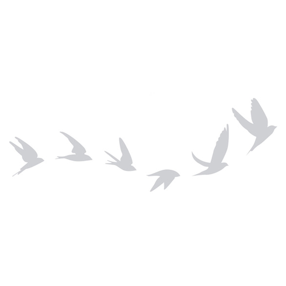 Stickers LPO anticollisions Vol d'oiseau