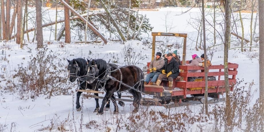Winter Sleigh Rides