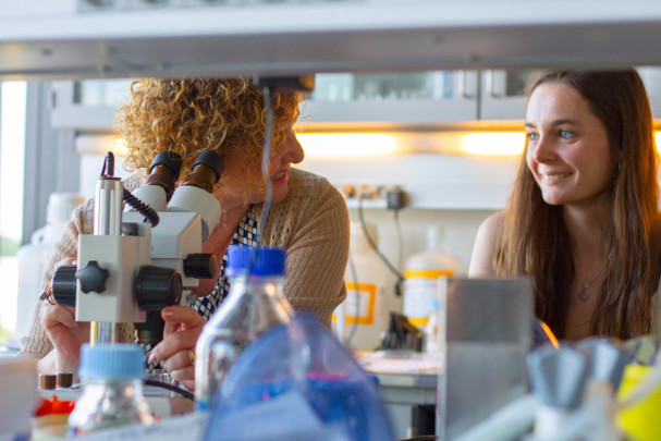 Rising stars 2016: 10 countries to watch