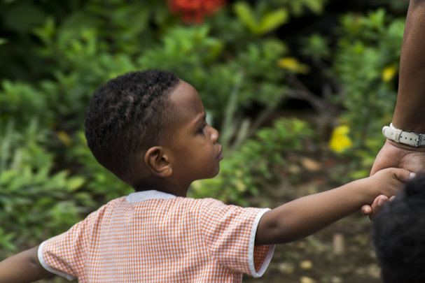 The 5 most popular scientific papers of May 2020 in the Nature Index journals