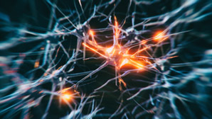 Overexcitable neurons lead to autistic-like behaviours in mice