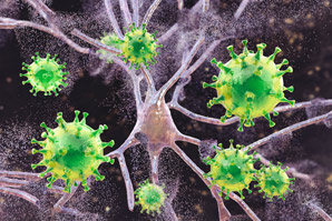 New effect of viruses on brains discovered