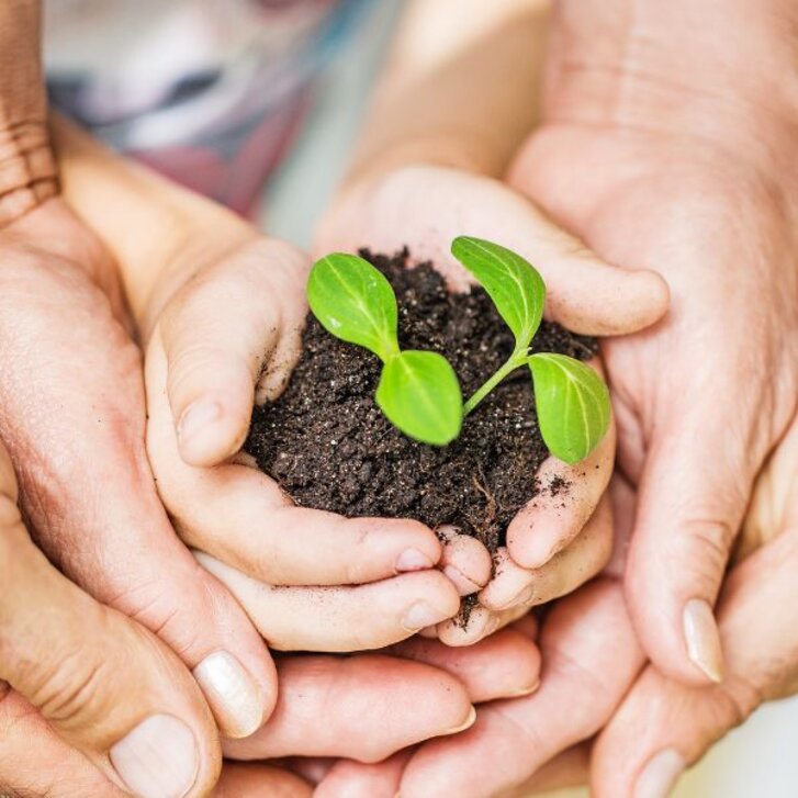 Ressourcen am Lebensbeginn