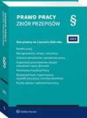 Kodeks pracy. Wynagrodzenia, urlopy i czas pracy. Ochrona zatrudnienia i świadectwa pracy. Organizacje pracodawców, związki zawodowe i spory zbiorowe ebook