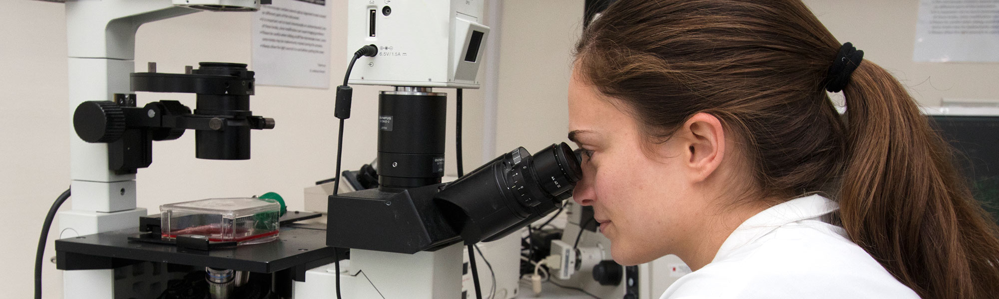 Researching student looking through microscope