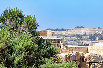 The Cittadella, Gozo, at a distance with bushes in the foreground