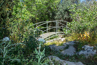 Footpath over a valley surround by bushes and trees