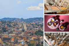 Upgrading Ugandan Exports  report cover