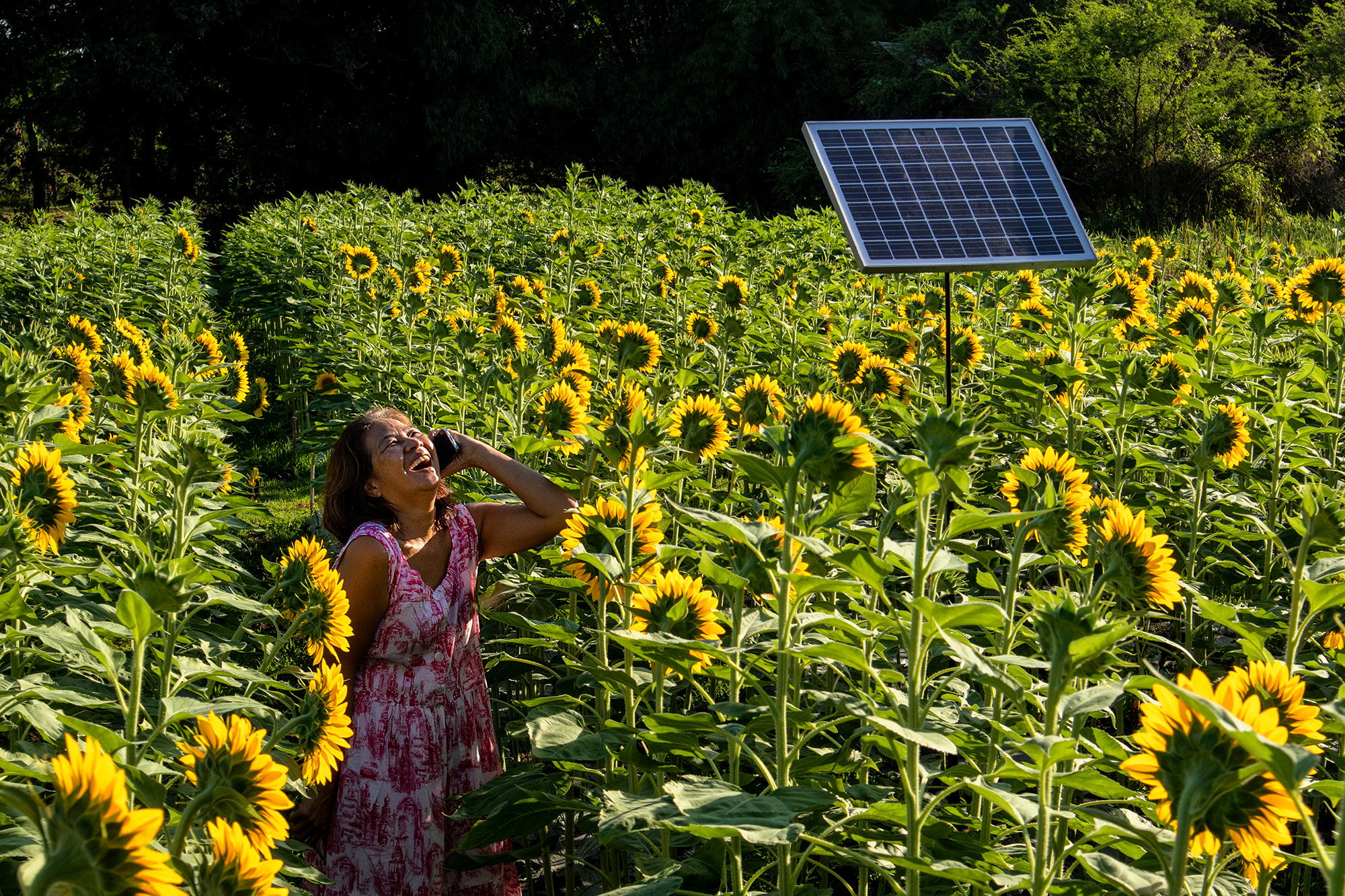 A joyful young woman talks on a mobile phone while standing in a vibrant field of sunflowers.