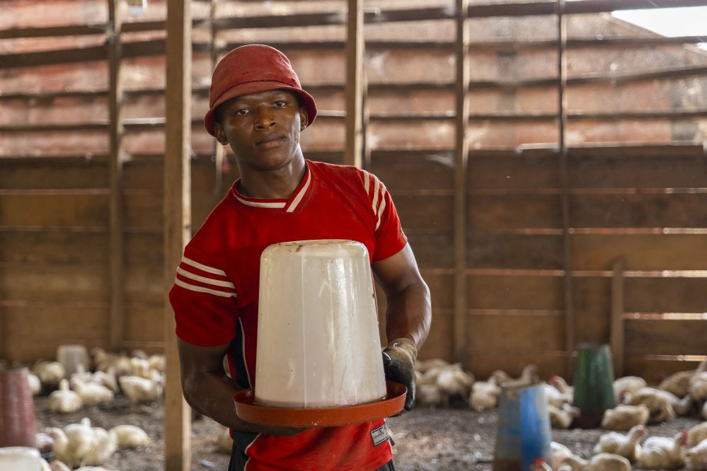 young man at a chicken coop