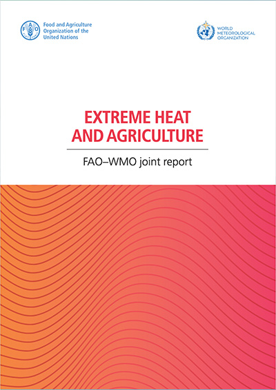 Report Cover