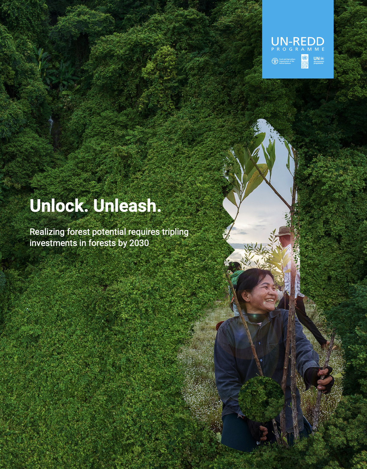 Report cover