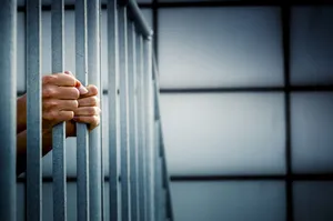 Hands Tightly Holding Jail Bars Picture