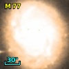 M  77