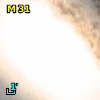 M  31