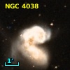 NGC  4038