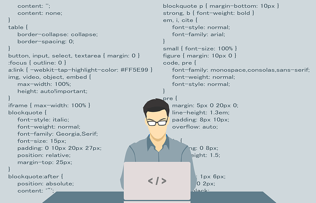 programmer