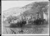 Australiens faisant halte à l'extérieur d'un amphithéâtre construit par le roi Hérode. Rabbath Ammon, Amman, Jordanie <br> Agence Rol. 1919