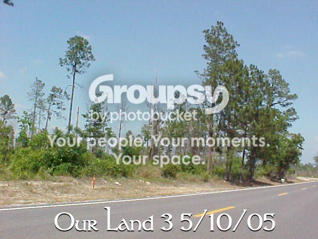 ourland3.jpg picture by helensharvest