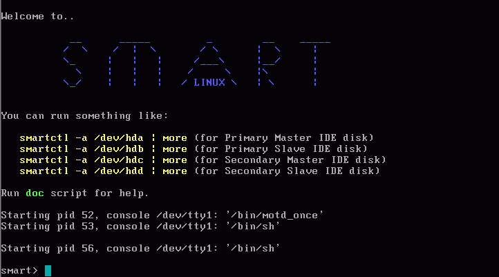 Screenshot from S.M.A.R.T. Linux