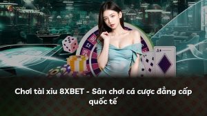 Chơi tài xỉu 8XBET – Sân chơi cá cược đẳng cấp quốc tế