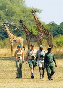 With the gameguard in front, they might finally find some animals.