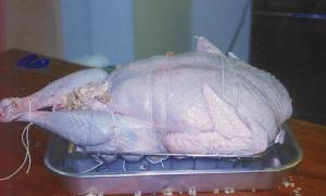 turduck3