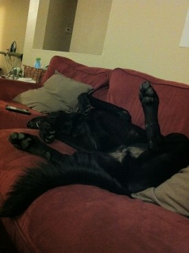 monty