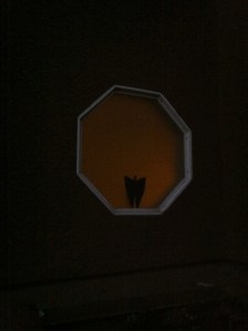 Batman? Is that you?