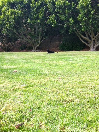 At the Park